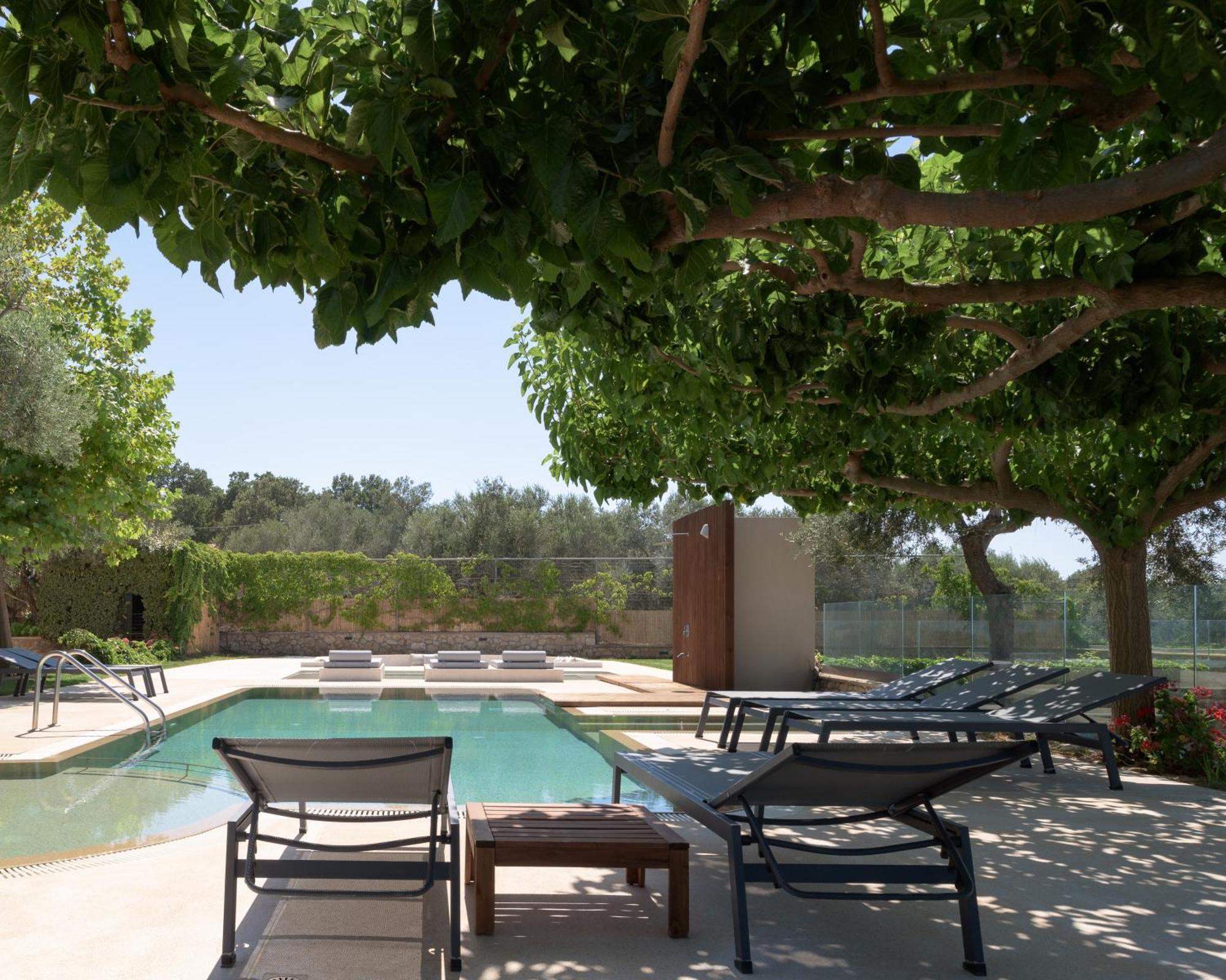 Thetree Villa, With Heated Pool & Spa Whirlpool Gállos المظهر الخارجي الصورة